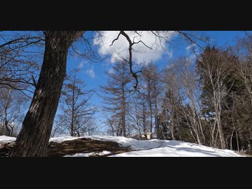 残雪｜川苔山