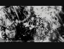 【Mew】 Procatalepsis Concept 【オリジナル】