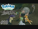 【アルセウス】全ポケモンと出会う旅 ～神の力で過去に飛ばされたら最強ポケモントレーナーになった件～ #29