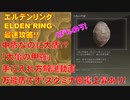 エルデンリング最速攻略！中盾なのに大盾！？「大亀の甲羅」手に入れ方解説動画！万能盾です！スタミナ回復上昇あり！[ELDEN RING攻略動画]