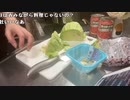 【あかねこ ニコ生】ミネストローネ作ろっかな～～～～～～～～～と思ってる。2022年2月24日【akaneko】