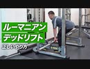 【初心者】ルーマニアンデッドリフトの正しいやり方 | お尻とハムストリングを強く太くする種目【ビーレジェンド プロテイン】