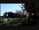 【音楽と景観】東京緑地#17｢のどかな石神井公園一帯の景観｣