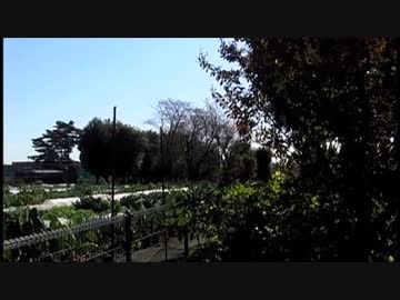 【音楽と景観】東京緑地#17｢のどかな石神井公園一帯の景観｣