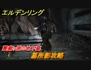 エルデンリング　墓所影攻略　霊廟ヶ原の地下墓　ボス攻略　＃１０１【ELDEN RING】