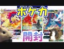 【ポケカ開封】モルモットと一緒にバトルリージョン開封してみた【モルモット】