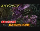 エルデンリング　病み花ミランダ攻略　霊廟ヶ原の洞窟　ボス攻略　＃１０３【ELDEN RING】