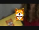 BabyDoge To The Moon Ft. Kay9 And Claudia