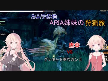 【IA ONE 実況プレイ】カムラの地 ARIA姉妹の 狩猟旅：参 vs唐傘【MHRise】
