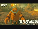 彼は役に立ててとても喜んでいるようです！【ゼルダの伝説 ブレス オブ ザ ワイルド57】