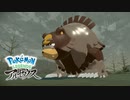 【Pokémon LEGENDS アルセウス】至高のクマ系ポケモン、ガチグマがかわいすぎる！！！#11【ポケモン】