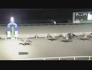 2022年3月1日高知競馬6R アルビサポーター協賛 今年こそＪ１昇格特別(C1・C2混合) キモンボーイ