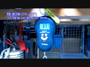 今月の体重測定【蒼民家の猫々】