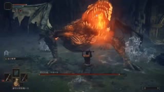 【マカール】ノーダメレベル１素寒貧で勝ってみた【エルデンリング】