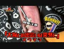 【カラー版】閲覧注意‼本物耳かき音「大物との出会いは突然に」TAMIYA調色スティック Real Ear Cleaning Sound /SONY ECM-CS3【睡眠導入ASMR】