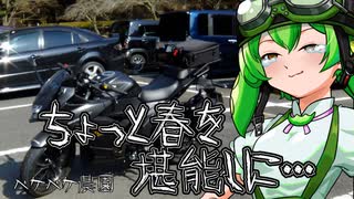 2022年3月1日　農作業日誌P191　下田へ向かってツーリング　VOICEVOX解説