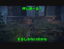 低スぺPCプレイヤーのELDEN RING part6
