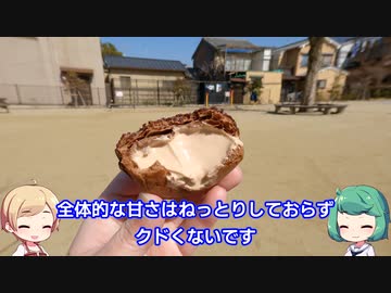 【VOICEVOXグルメ】京都 河原町五条 「あきなのおやつ」ちょこしゅー