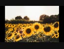 花のオルゴール【フリー音源】