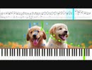 Chopin-waltz No.6 Op.64-1 Minute Waltz