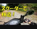 【アドレスV125S】スクーターで林道を走れるのか！？【広域基幹林道 若狭幹線】【ゆっくり実況】