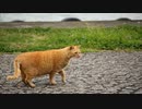 作業用BGM 水月陵さん曲集