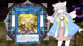 猫耳デュエリストあかりちゃん！