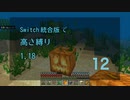 【Minecraft】Switch高さ縛り1.18 12