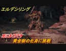 エルデンリング　黄金樹の化身に挑戦！小黄金樹　ボス攻略　死にまくりです　＃１２６【ELDEN RING】