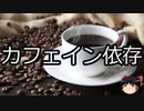 【ゆっくり朗読】ゆっくりさんと不思議な病気 その486