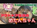 【Timberborn】アウトドア生活のめたんちゃんとビーバー【VOICEBOX実況】