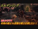エルデンリング　坩堝の騎士＆混種の戦士を倒したい！赤獅子城　ボス攻略　＃１３５【ELDEN RING】