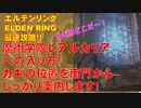 エルデンリング最速攻略！魔術学院レアルカリアへの入り方！カギの位置を南門からしっかり案内します！[ELDEN RING攻略動画]