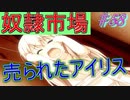 【ヘリオトロープ】物凄く勿体ない美少女ゲームを実況プレイ　#58