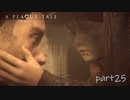 【実況】絶望の淵で生き延びる-part25-【A Plague Tale: Innocence】