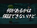 とろけそうなカイちゃんは可愛すぎるしボーちゃんは溺れるし鳩子は分からない【ポケモンアルセウス保証はできない】#25
