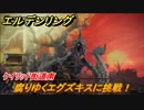 エルデンリング　腐りゆくエグズキスに挑戦！ケイリッド街道南　ボス攻略　死にまくりです　＃１４２【ELDEN RING】
