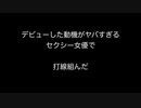 デビューした動機がヤバすぎるセクシー女優で打線組んだ
