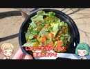【VOICEVOXグルメ】京都 大和大路五条 TABEKUMA サルサキーマカレー