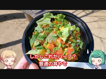 【VOICEVOXグルメ】京都 大和大路五条 TABEKUMA サルサキーマカレー