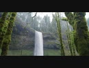 西宮秀明-nishihide- waterfall