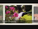 Commercial Garden Maintenance