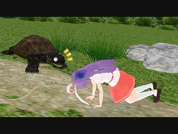 異聞『うさぎとかめ』（修正ver）【東方】【MMD】