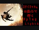 ナイトランナーチャレンジをして行くDying Light2