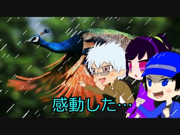 【新クトゥルフ神話TRPG】残光の島　part9【ゆっくりTRPG】