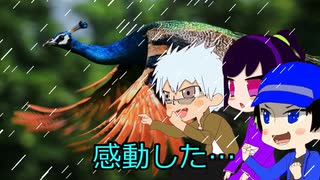 【新クトゥルフ神話TRPG】残光の島　part9【ゆっくりTRPG】