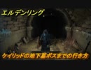 エルデンリング　ケイリッドの地下墓ボスまでの行き方　＃１６１【ELDEN RING】