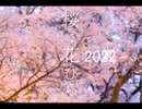 桜...花びら2022新バージョン