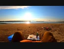 【ASMR】釣ったアカエイでホットサンド作って食べる【波の音】