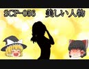 SCPを自分なりに説明してみる056【美しい人物】